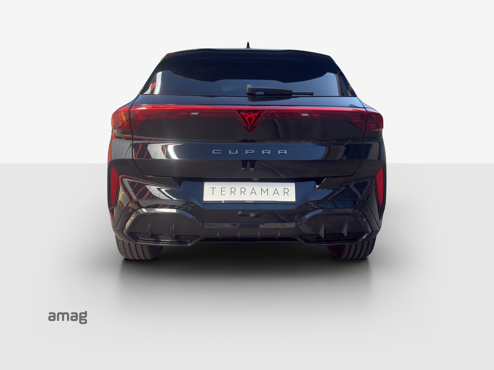 CUPRA Terramar 2.0 TSI DSG 4Drive-showroom-element-3