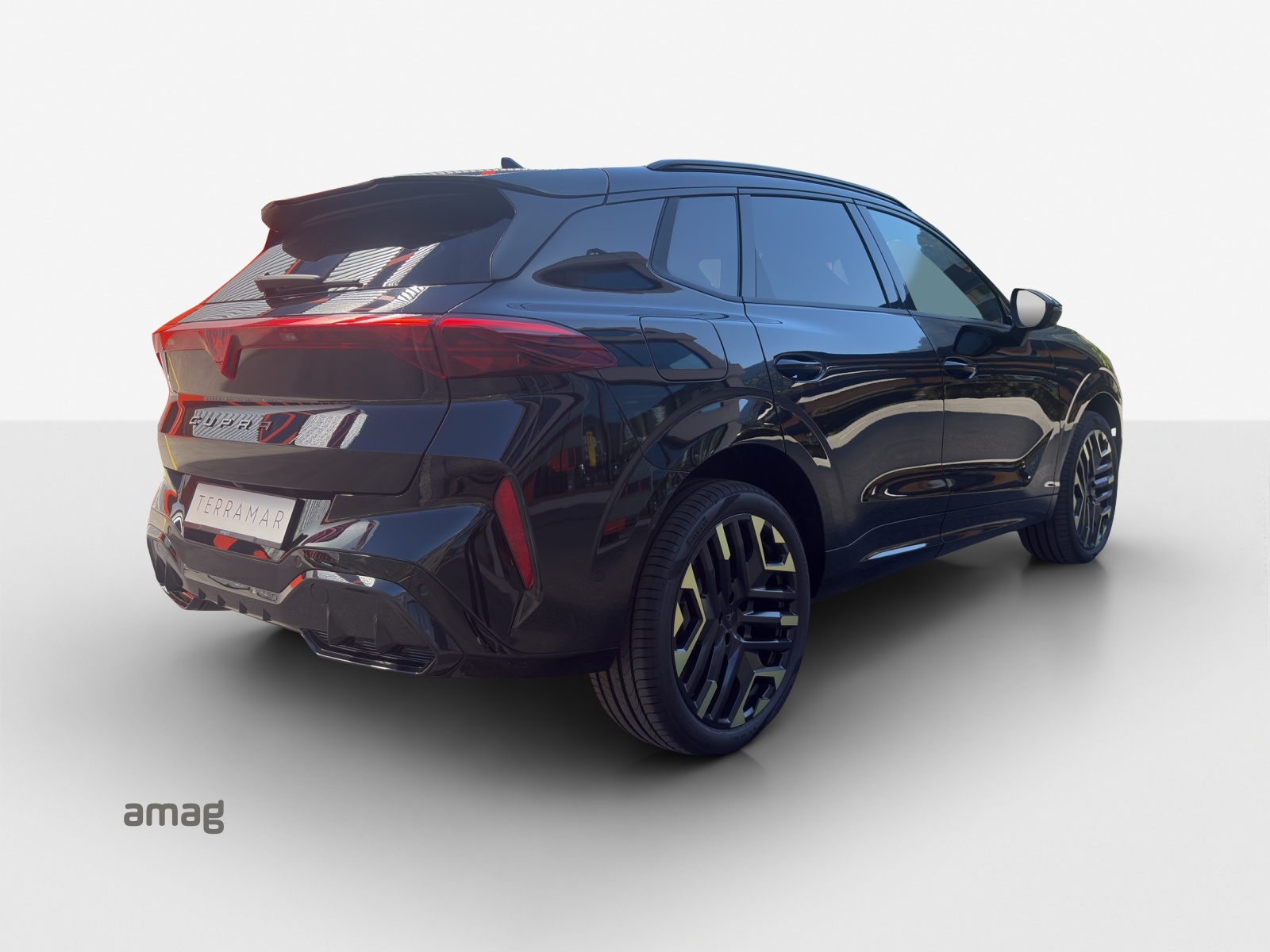 CUPRA Terramar 2.0 TSI DSG 4Drive-image-4