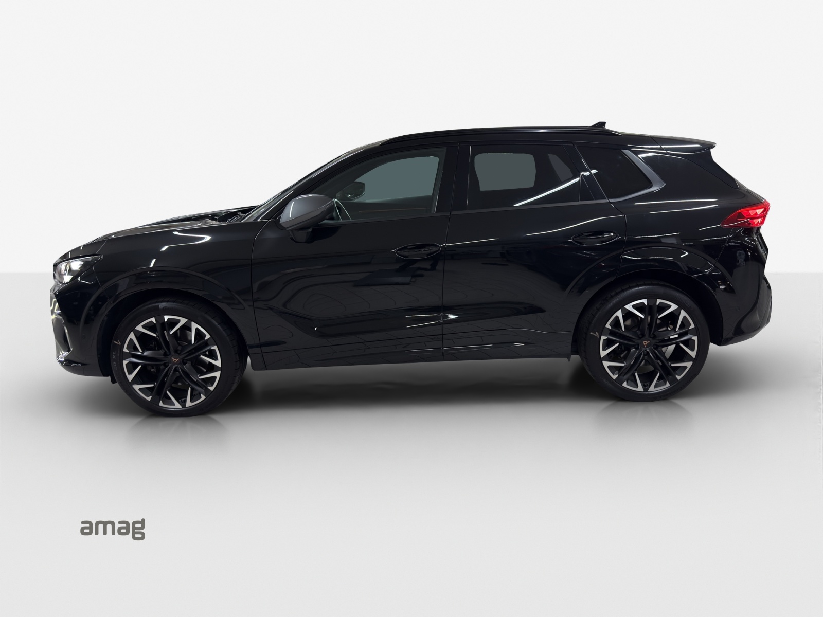 CUPRA Terramar 2.0 TSI DSG 4Drive VZ-image-1