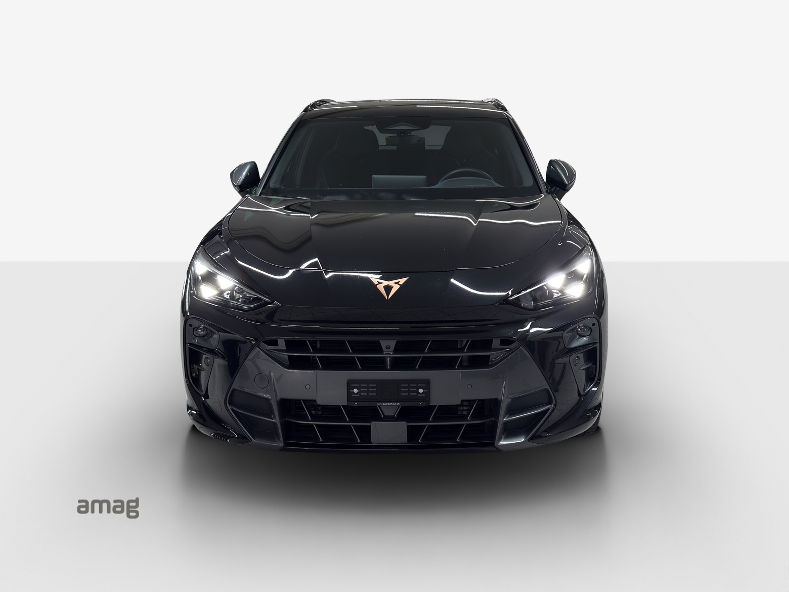 CUPRA Terramar 2.0 TSI DSG 4Drive VZ-image-6