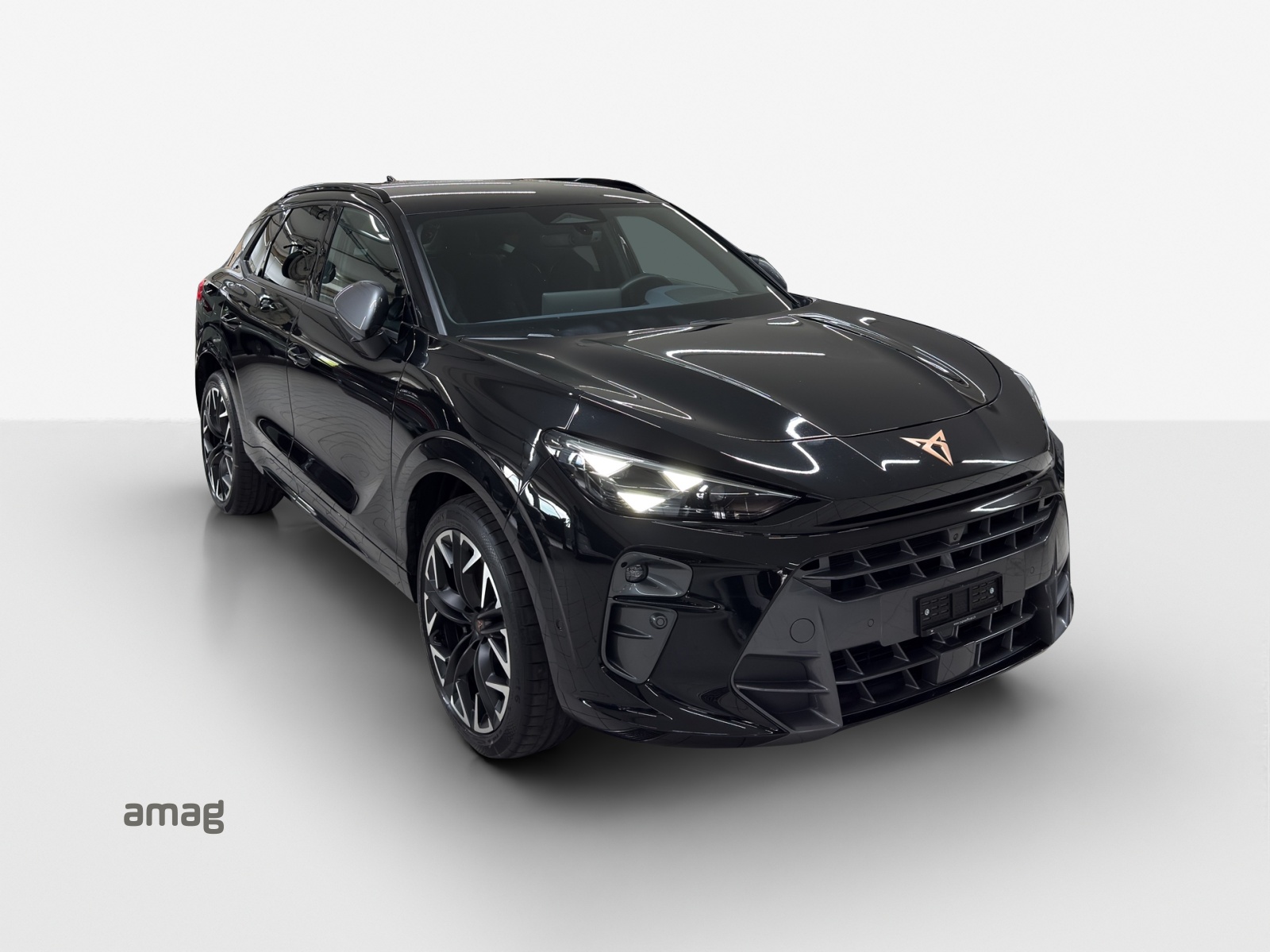 CUPRA Terramar 2.0 TSI DSG 4Drive VZ-image-5