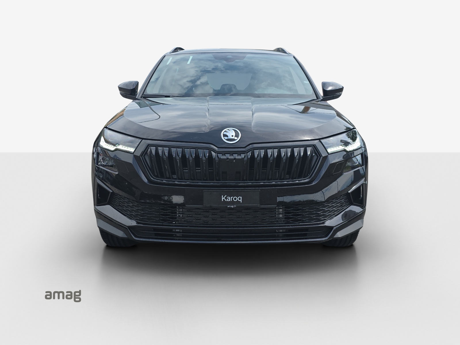 SKODA Karoq 2.0 TSI Dynamic Limited Edition 4x4 DSG-image-6