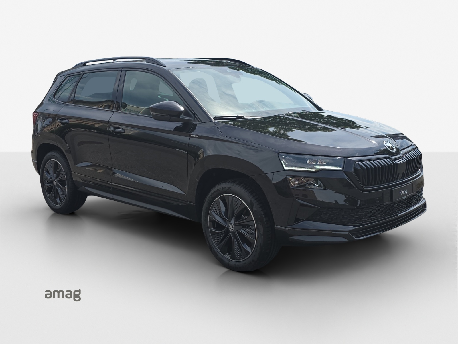 SKODA Karoq 2.0 TSI Dynamic Limited Edition 4x4 DSG-image-5