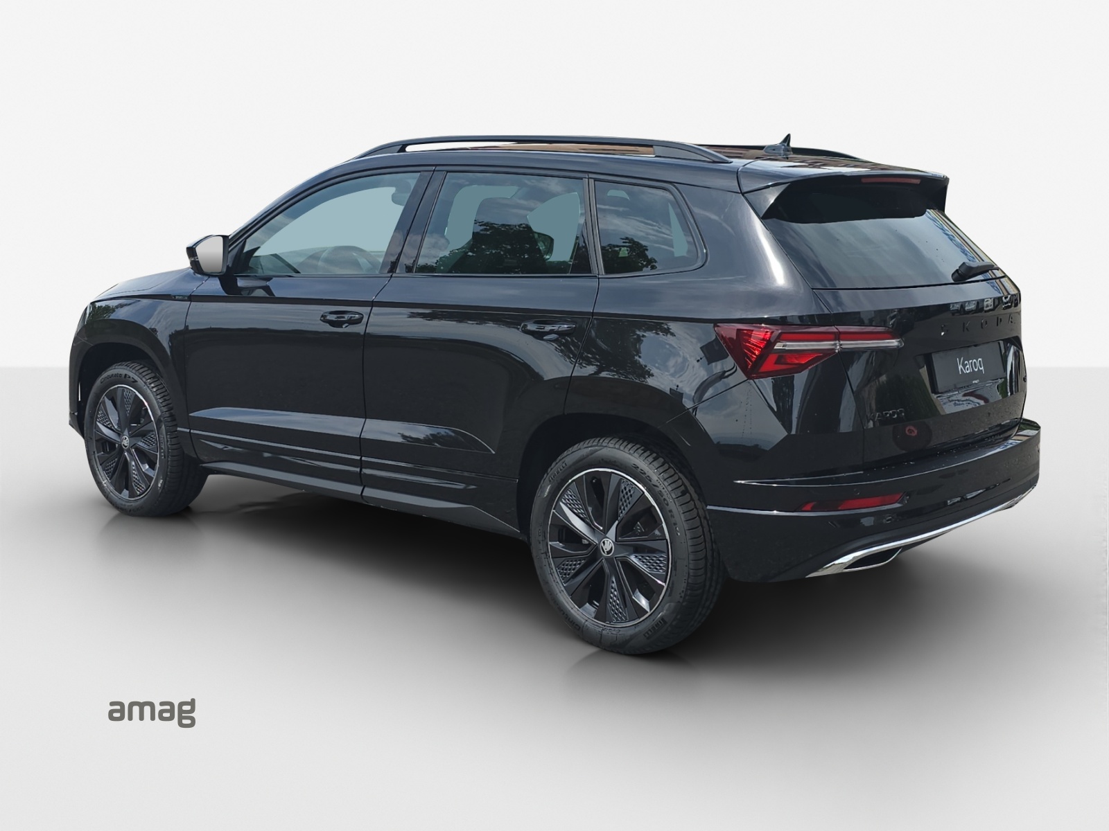SKODA Karoq 2.0 TSI Dynamic Limited Edition 4x4 DSG-image-2