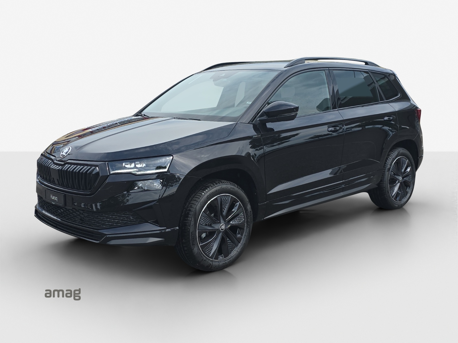 SKODA Karoq 2.0 TSI Dynamic Limited Edition 4x4 DSG-image-0