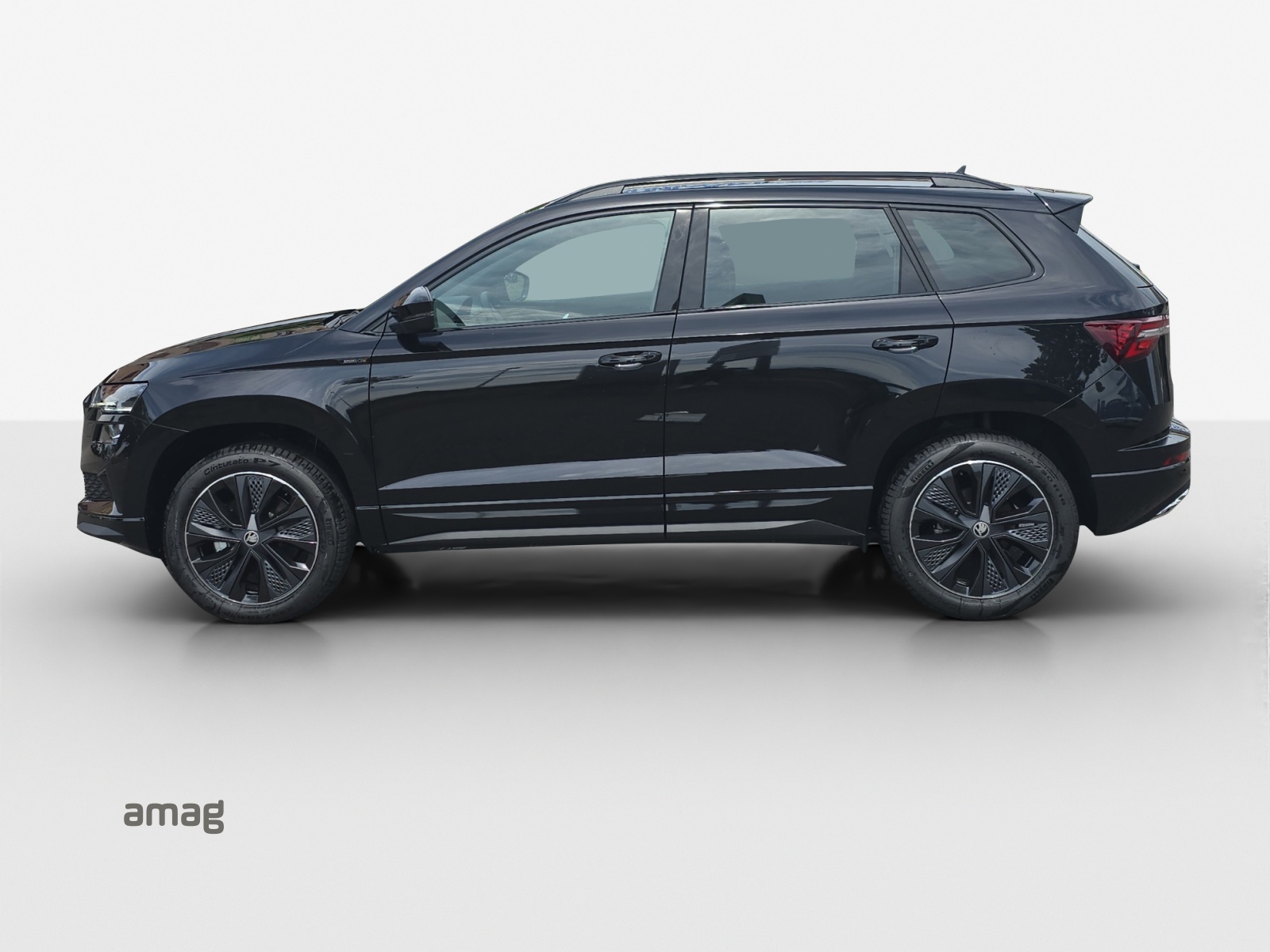 SKODA Karoq 2.0 TSI Dynamic Limited Edition 4x4 DSG-image-1