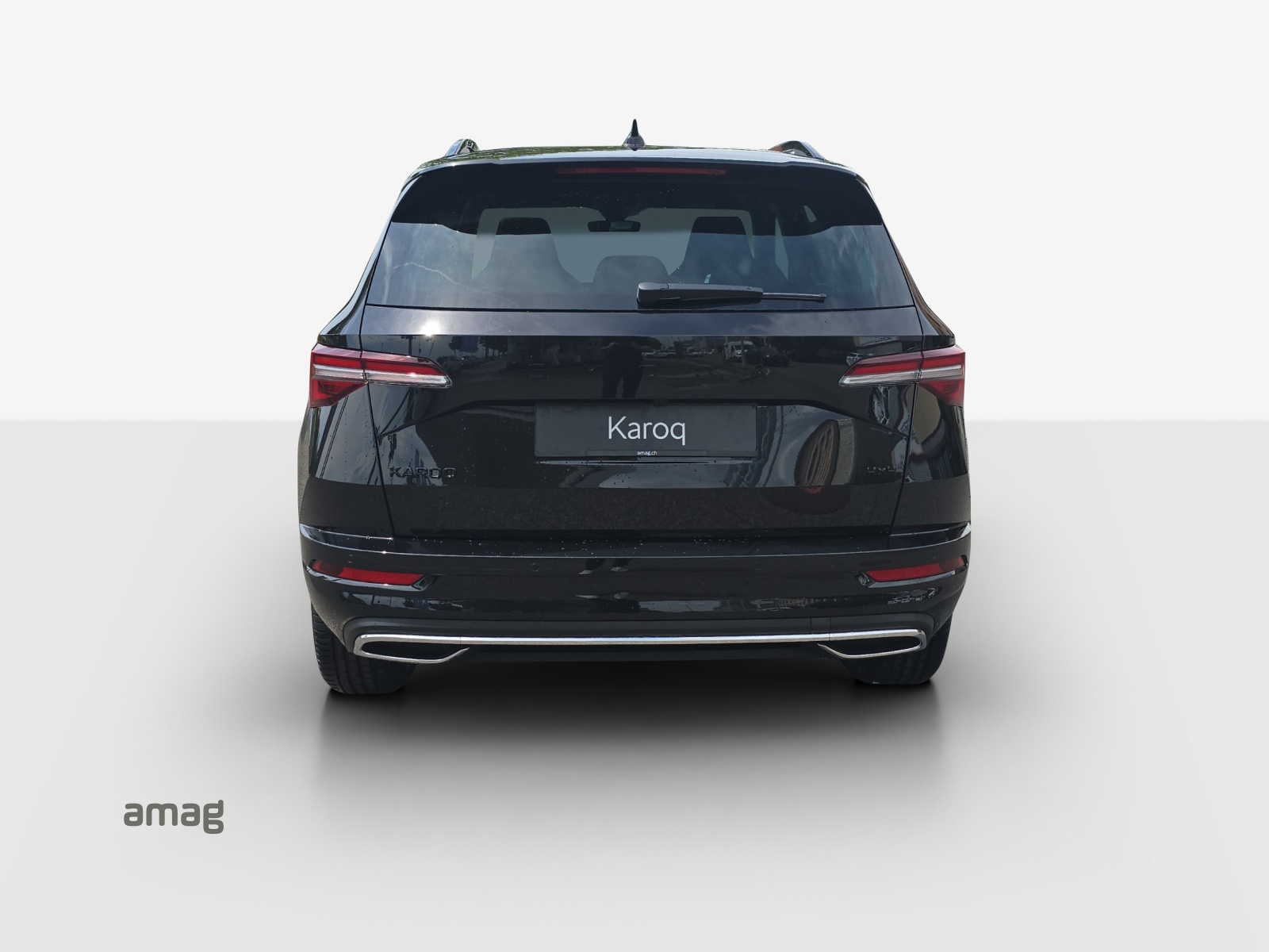 SKODA Karoq 2.0 TSI Dynamic Limited Edition 4x4 DSG-image-3
