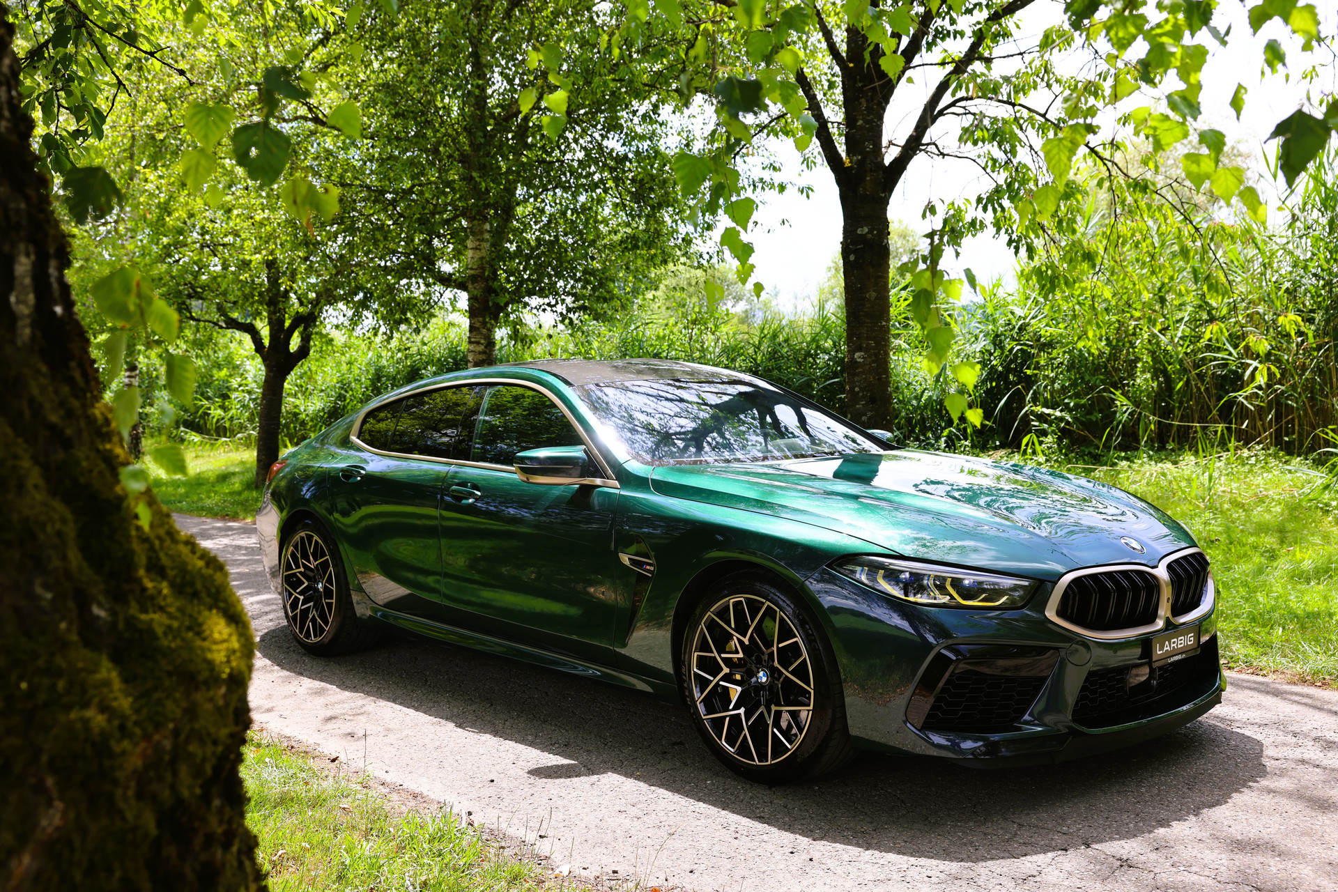 BMW M8 xDrive M Competition Steptronic *First Edition* *CH-Fahrzeug*-showroom-element-2