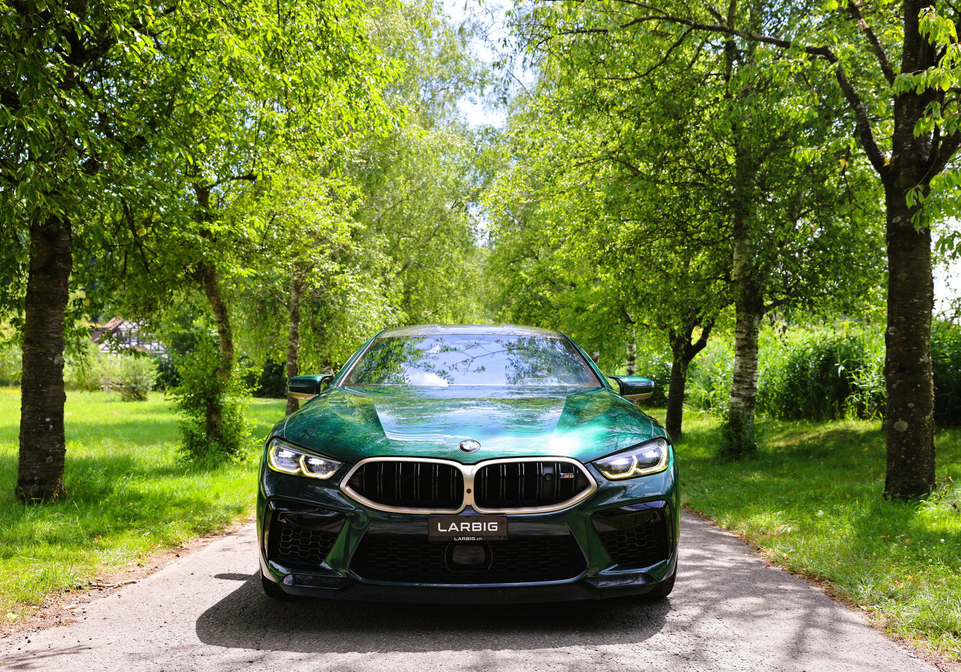 BMW M8 xDrive M Competition Steptronic *First Edition* *CH-Fahrzeug*-showroom-element-1