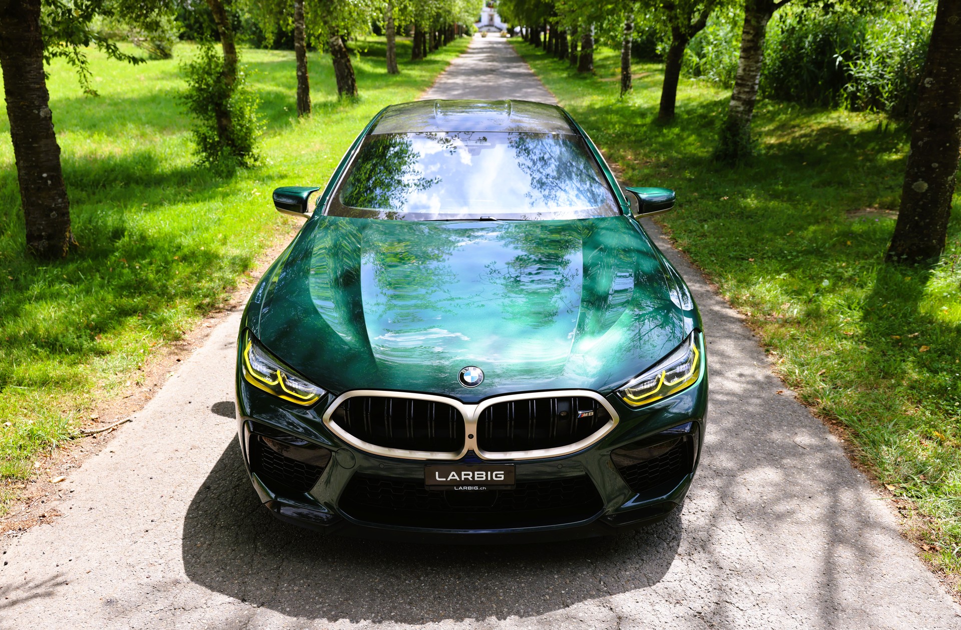 BMW M8 xDrive M Competition Steptronic *First Edition* *CH-Fahrzeug*-showroom-element-3