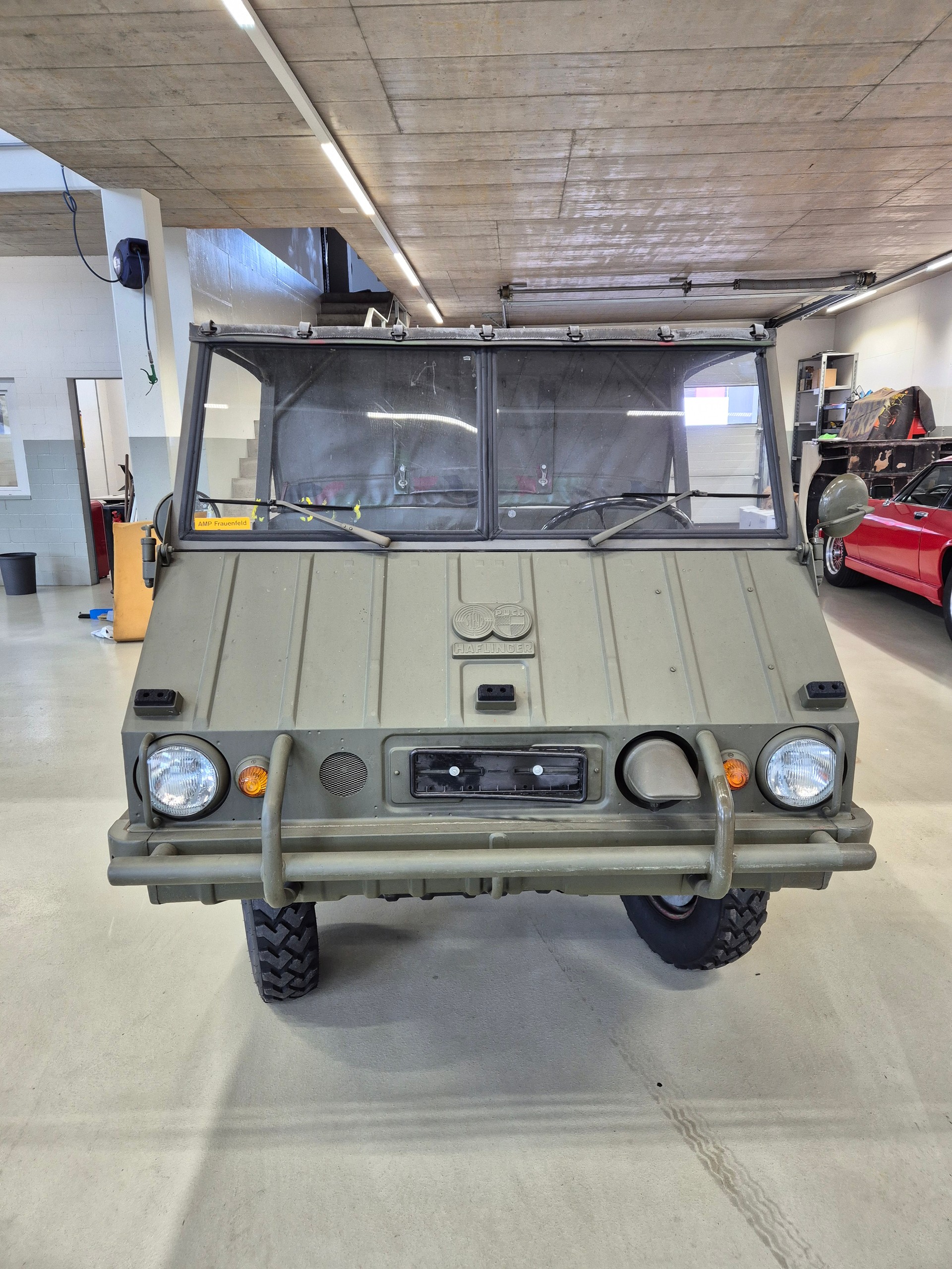 PUCH Haflinger-image-0