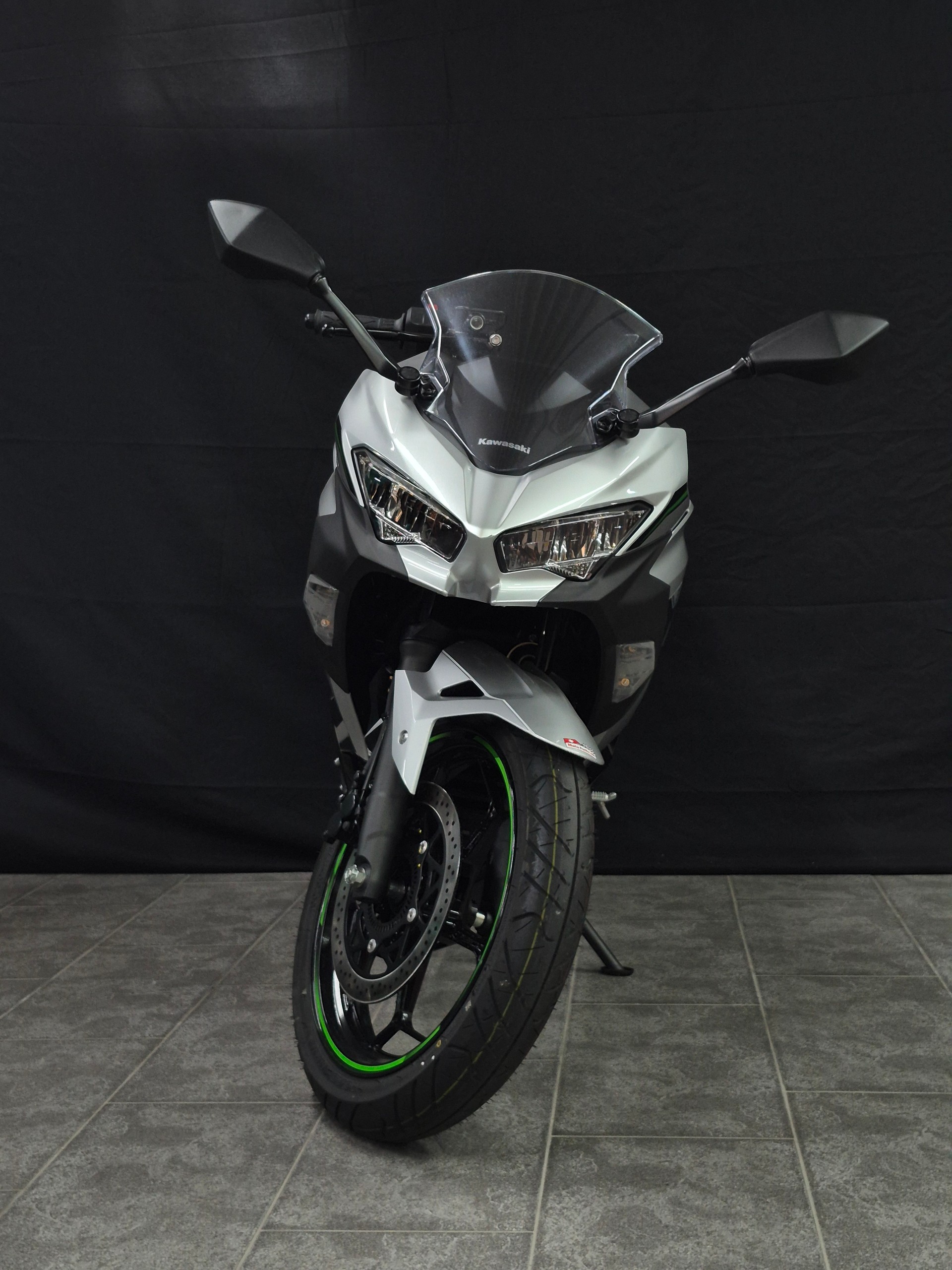 KAWASAKI Ninja e-1-image-15