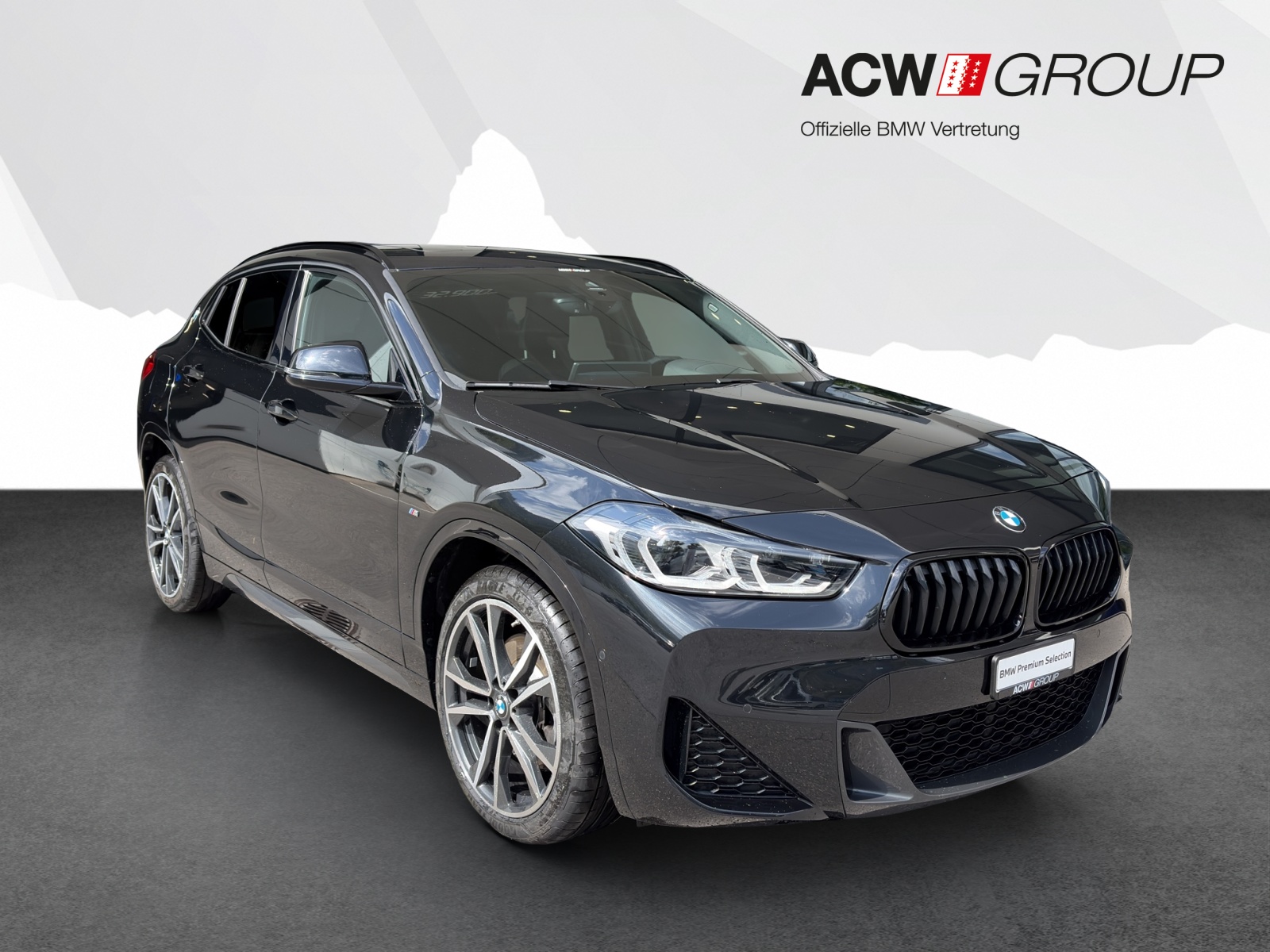 BMW X2 20i xDrive-image-6