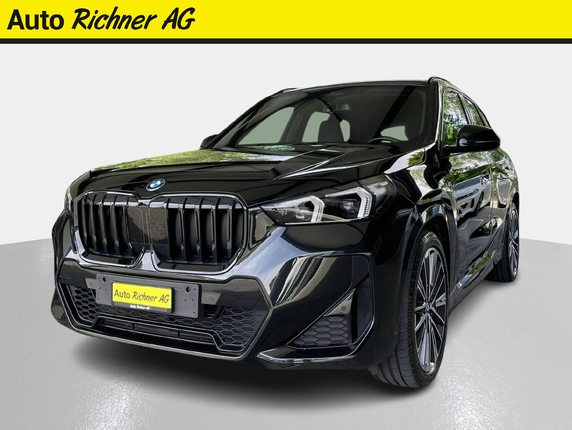 BMW X1 25e xDrive paddles-image-1