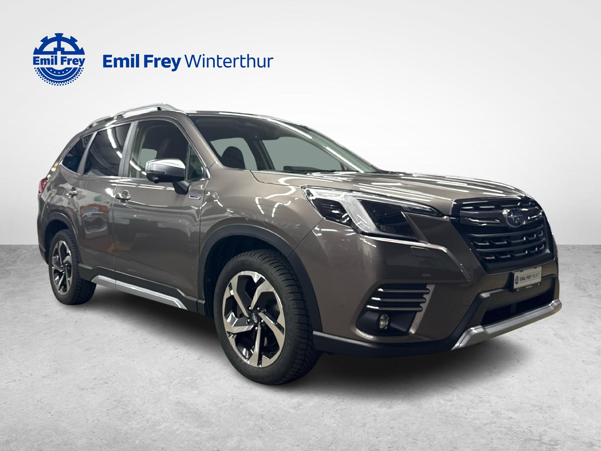 SUBARU Forester Station 2.0i e-Boxer Luxury-image-6