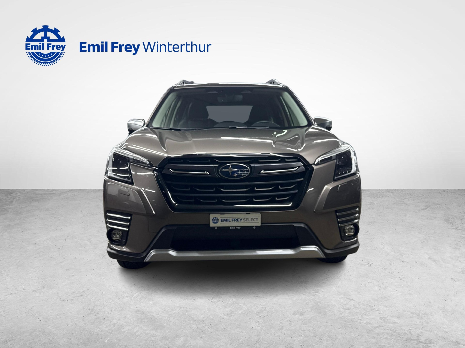 SUBARU Forester Station 2.0i e-Boxer Luxury-image-7