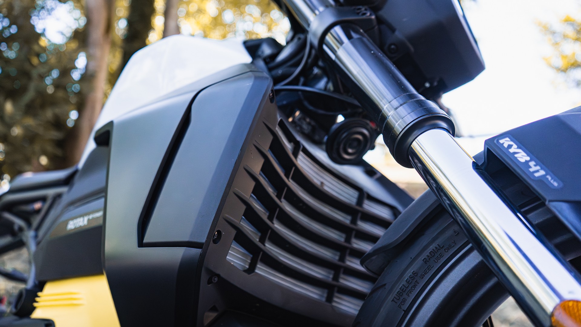 CAN-AM Pulse Standard 11kW-image-10