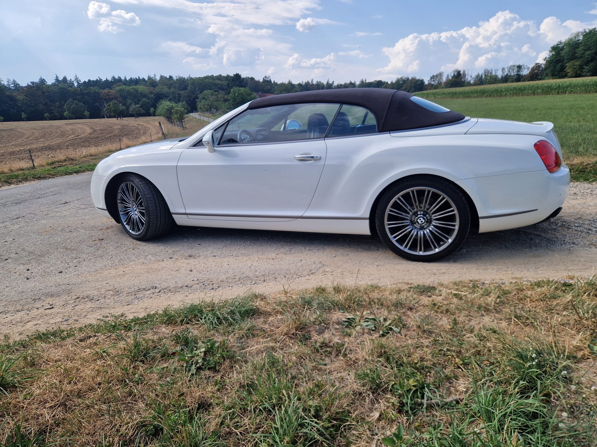 BENTLEY 6.0 V12 Speed-image-3