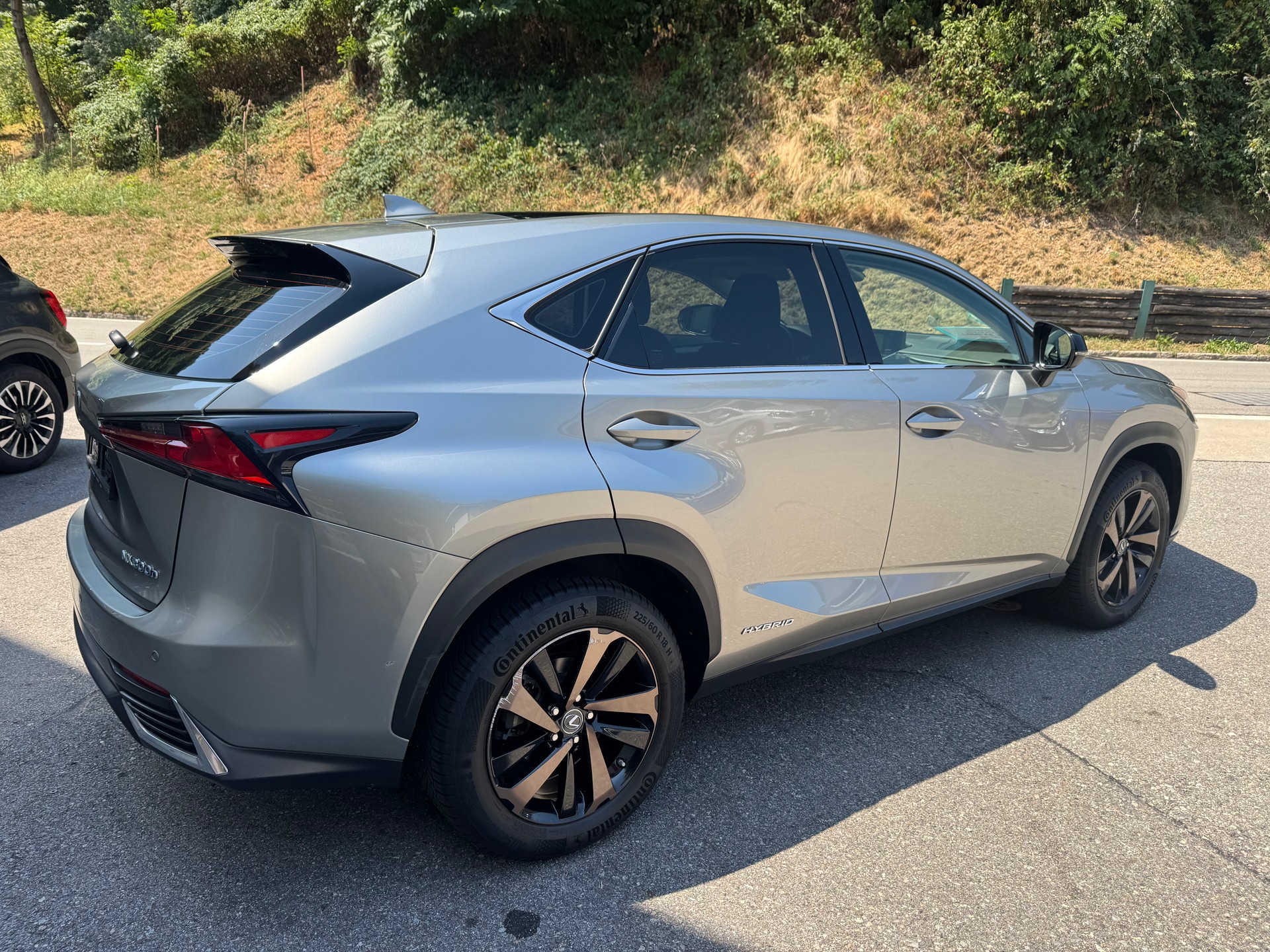 LEXUS NX 300h Comfort E-Four Automatic-image-2