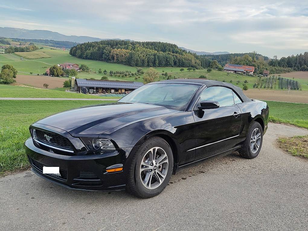 FORD MUSTANG-image-1