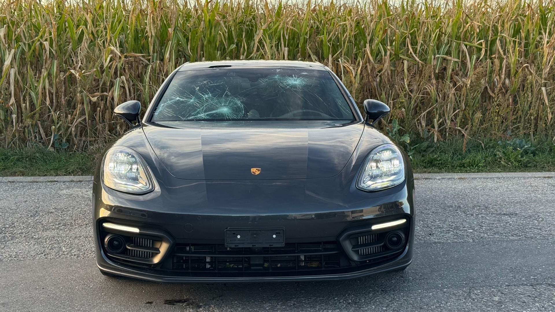 PORSCHE Panamera 4S E-Hybrid Sport Turismo PDK-image-7