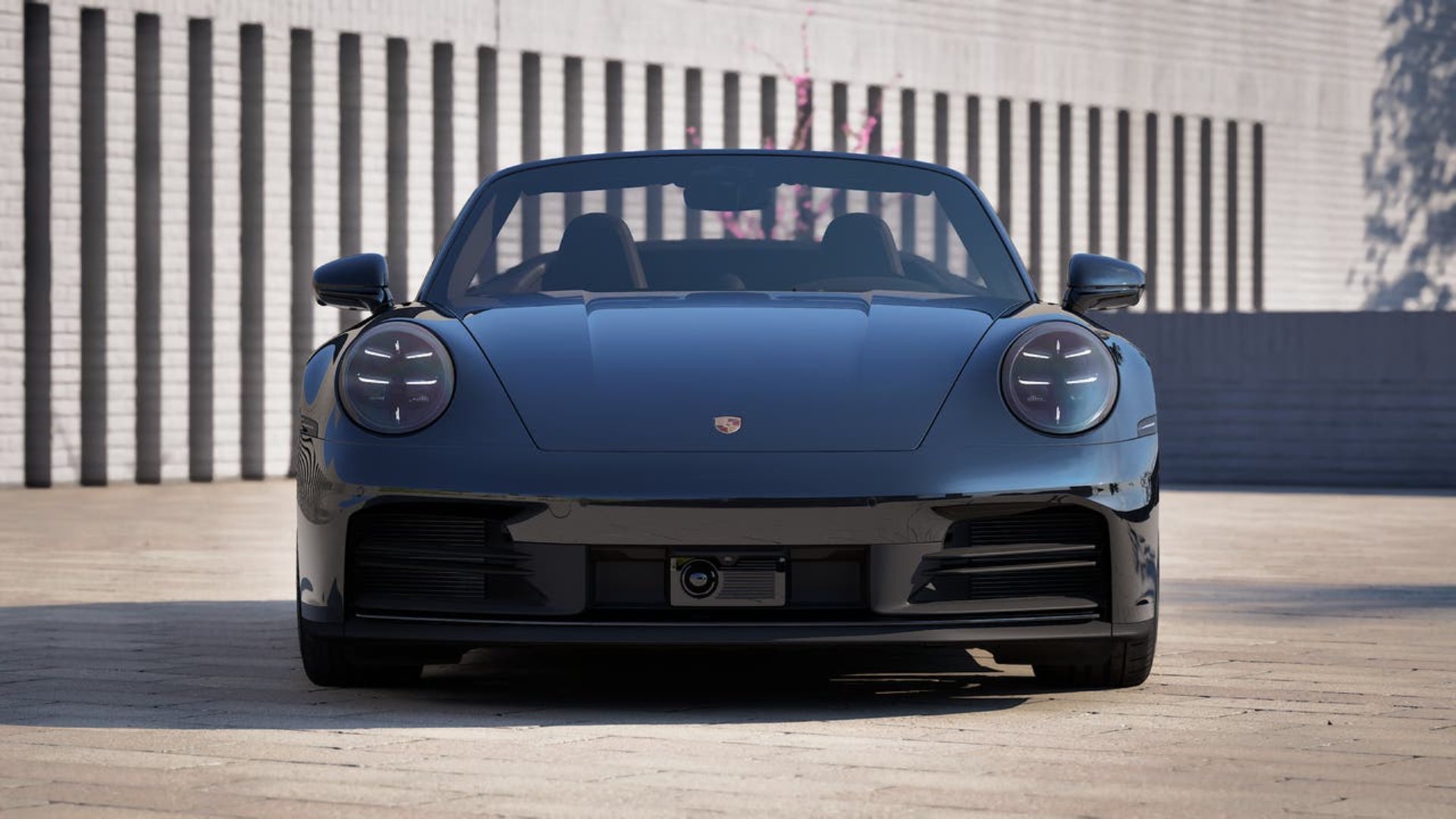 PORSCHE 911 Carrera Cabriolet-image-7