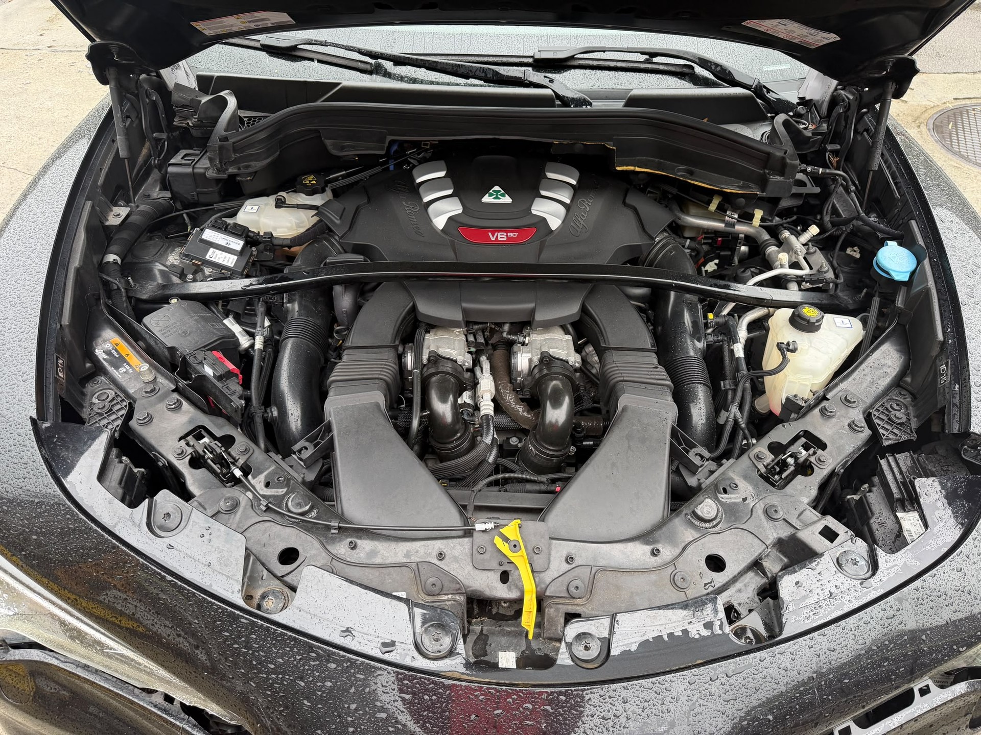 ALFA ROMEO Stelvio 2.9 V6 Quadrifoglio Q4 Automatic-image-6