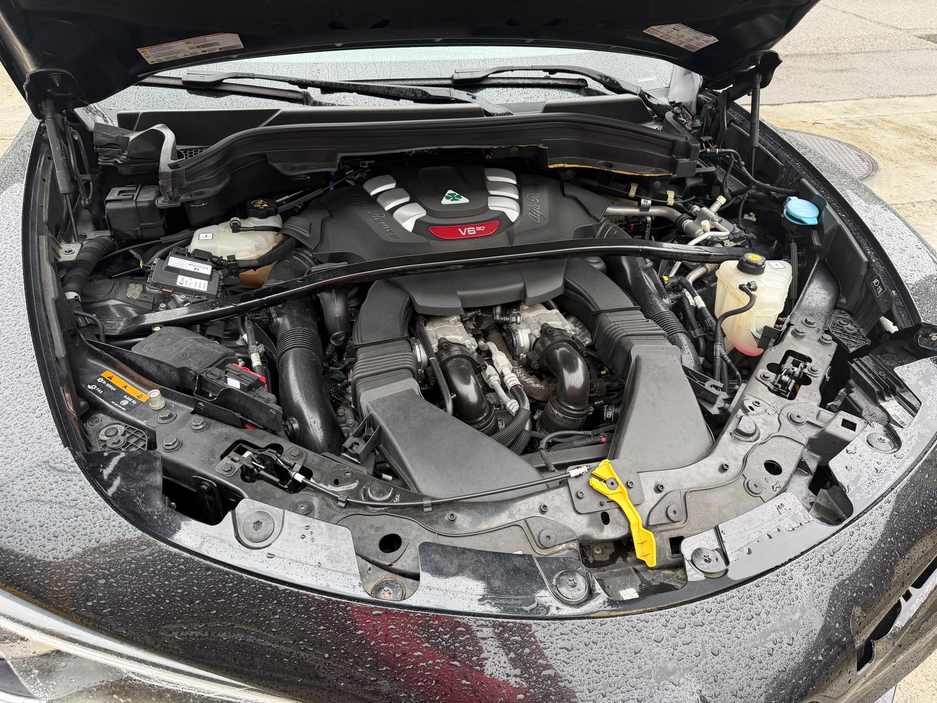 ALFA ROMEO Stelvio 2.9 V6 Quadrifoglio Q4 Automatic-image-7