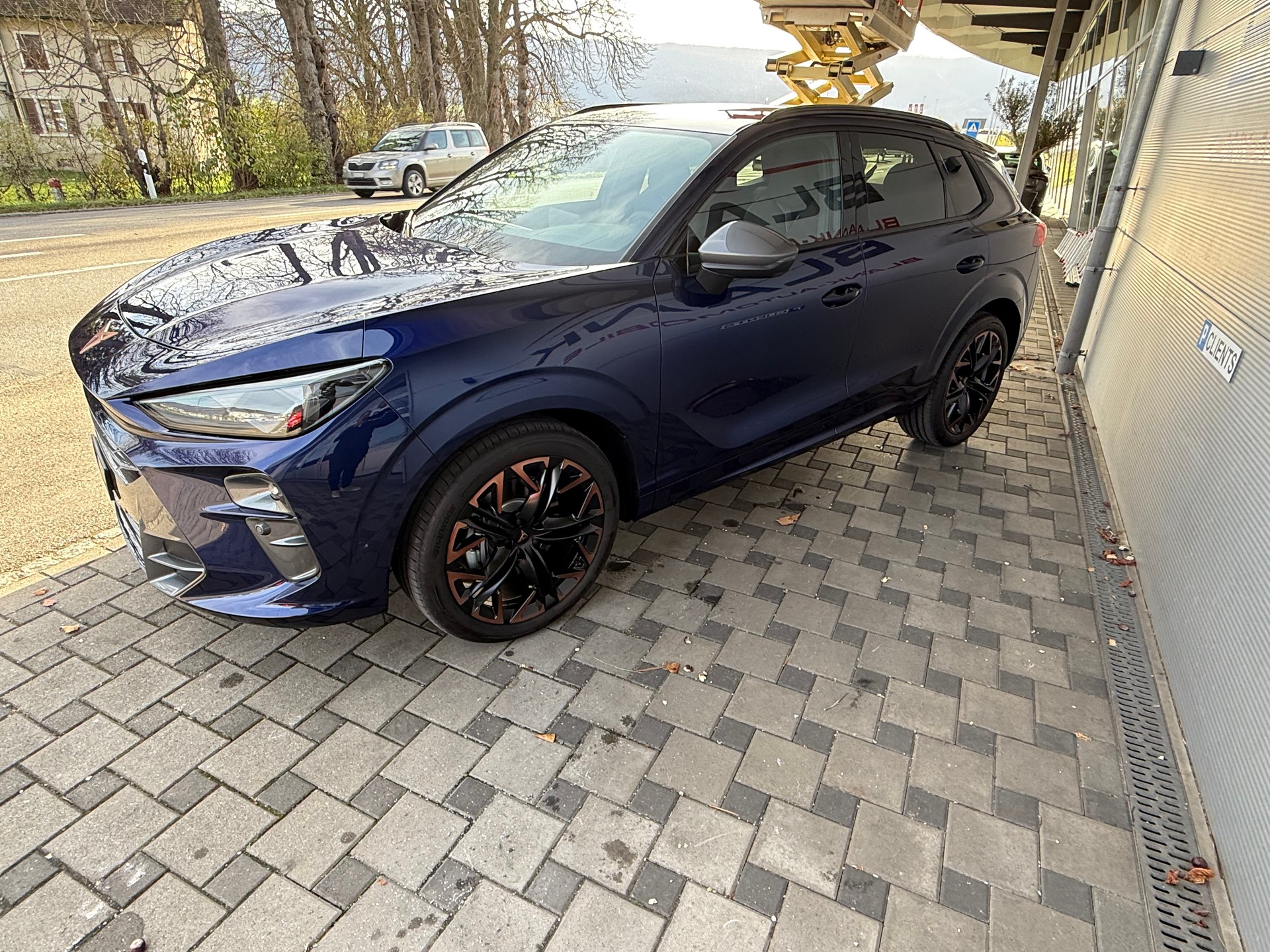 CUPRA Terramar 2.0 TSI DSG 4Drive / VENDUE VERKAUFT-image-2