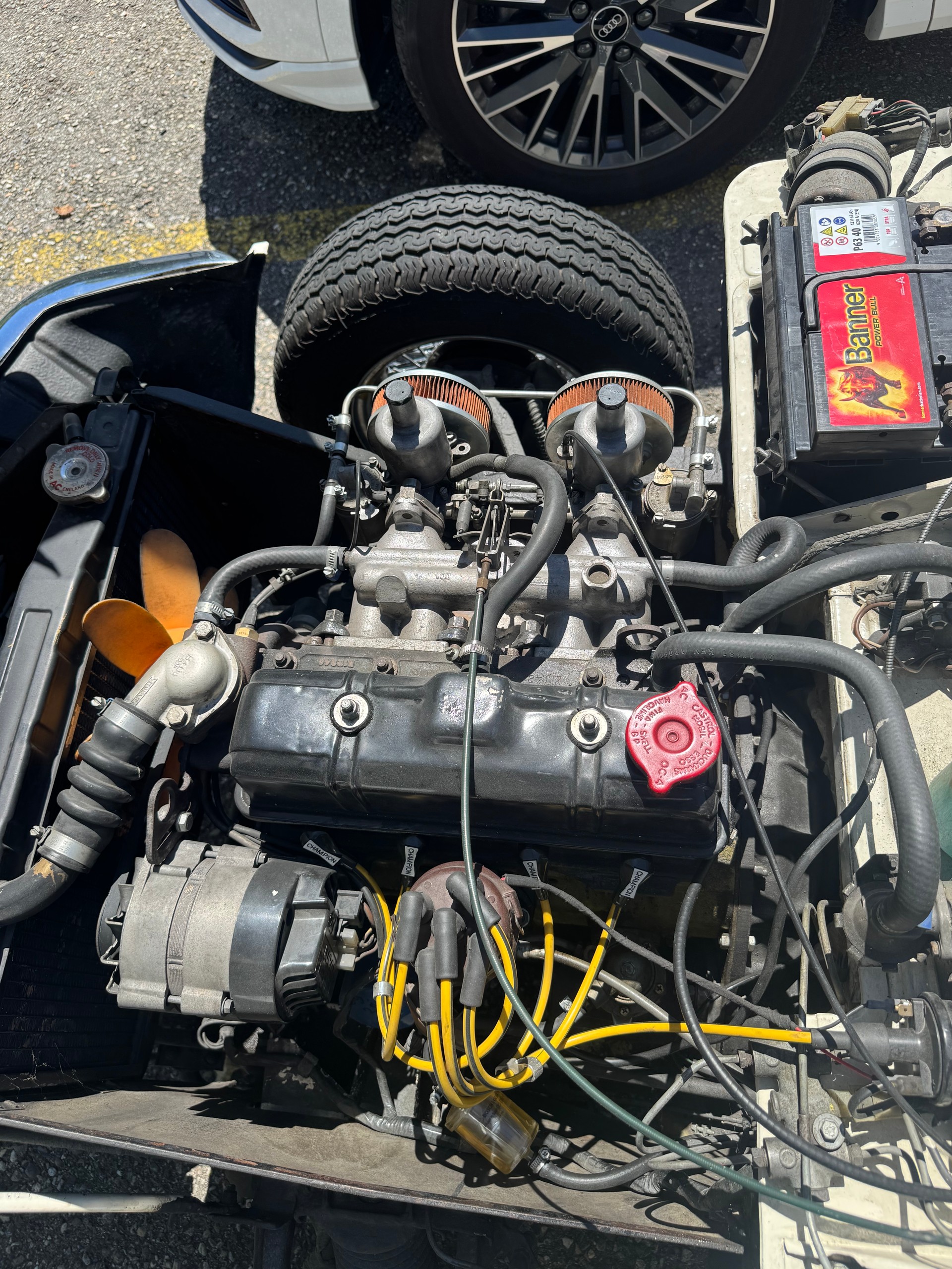 TRIUMPH IV-image-5