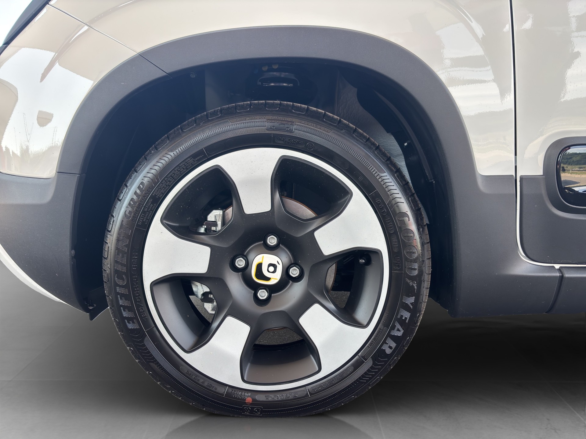 FIAT Pandina 1.0 MHEV Cross-image-7