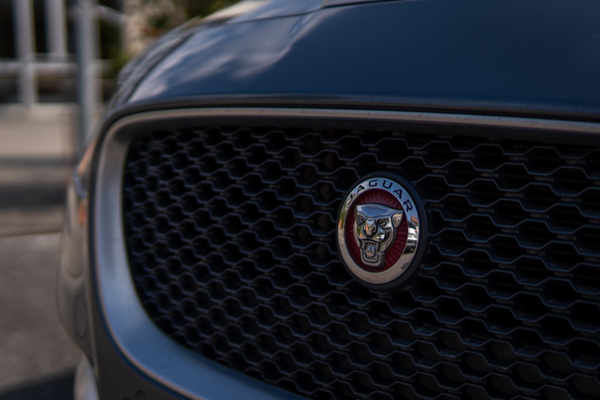 JAGUAR 2.0 T 240 R-Sport-image-5