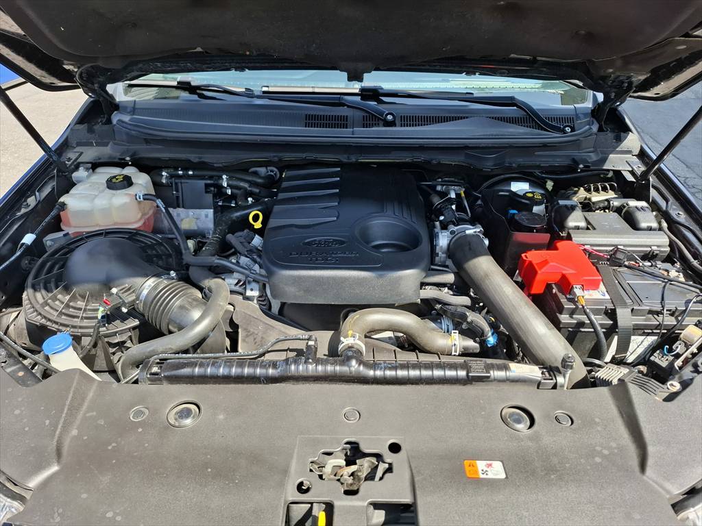 FORD Ranger Wildtrak 3.2 TDCi 4x4-image-12