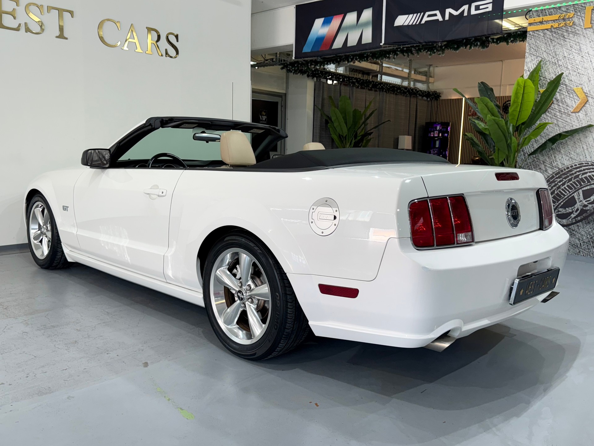 FORD GT 4.6 V8-image-5