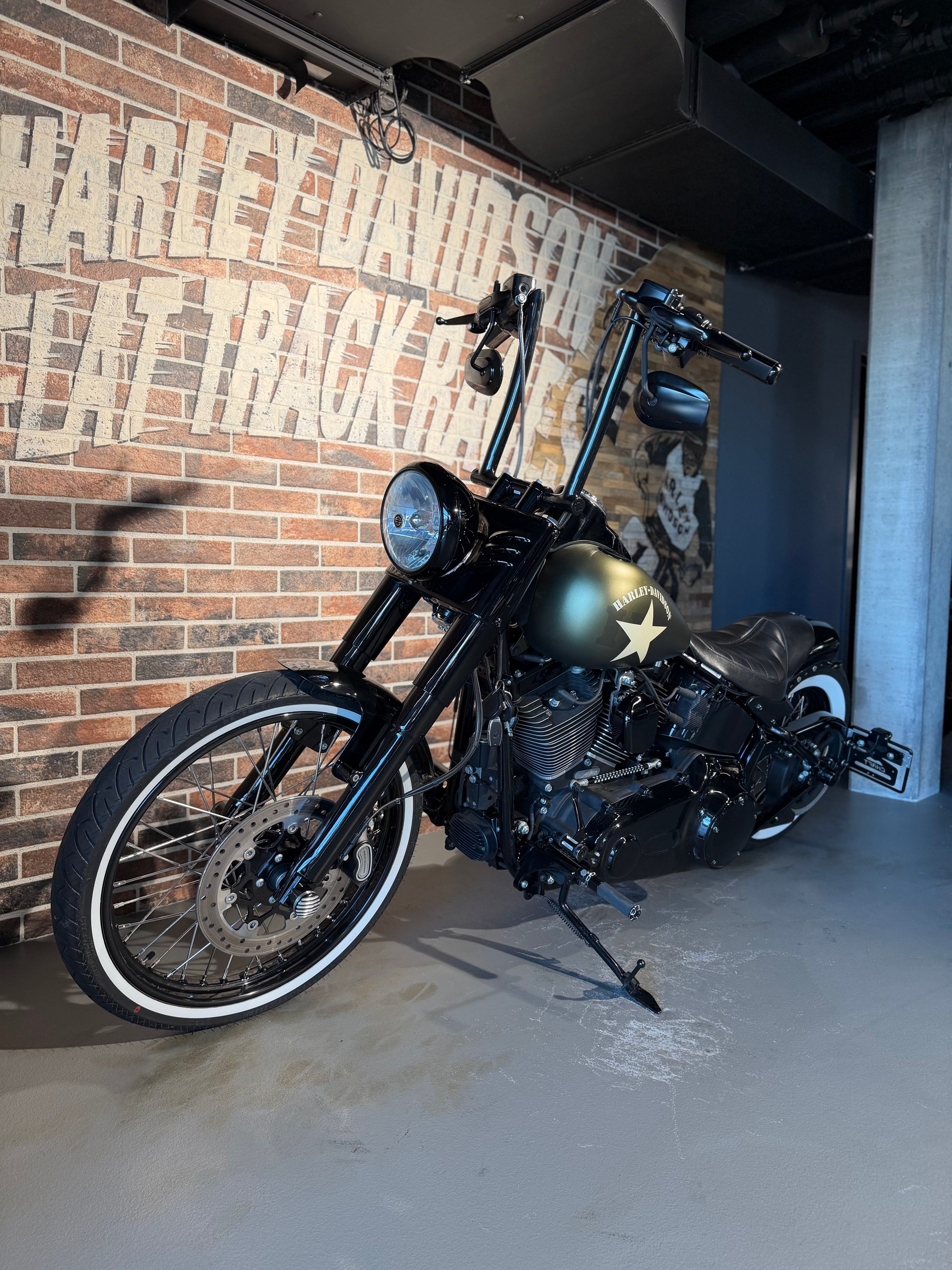 HARLEY-DAVIDSON FLSS Softail Slim S110 ABS-showroom-element-3