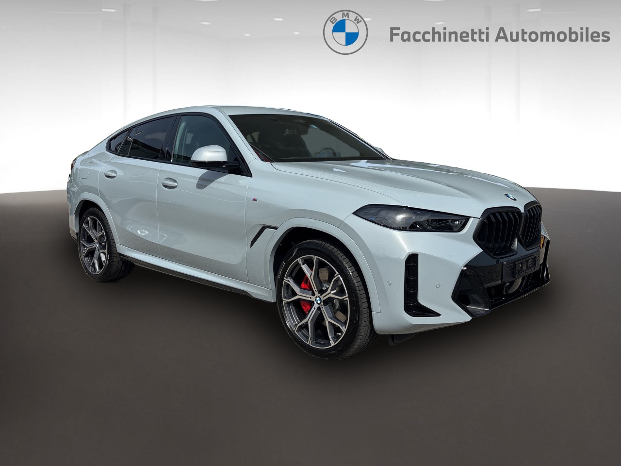 BMW X6 xDrive 48V 30d M Sport Pro Steptronic-image-6