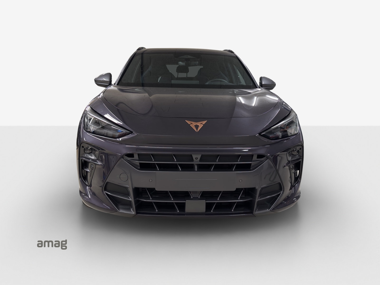 CUPRA Terramar 2.0 TSI DSG 4Drive-image-6
