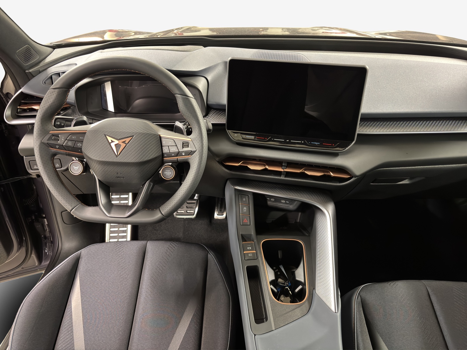 CUPRA Terramar 2.0 TSI DSG 4Drive-image-8
