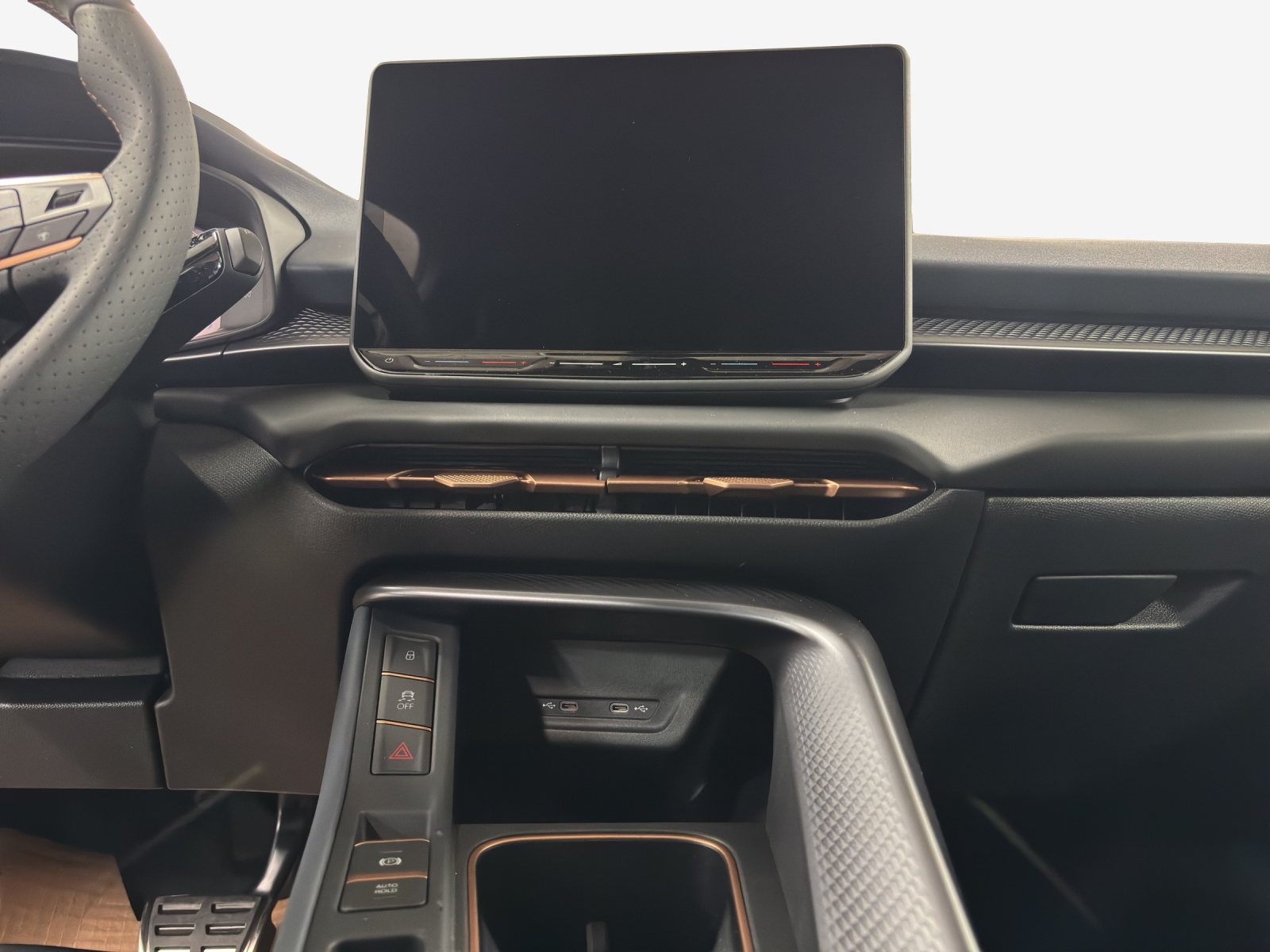 CUPRA Terramar 2.0 TSI DSG 4Drive-image-10