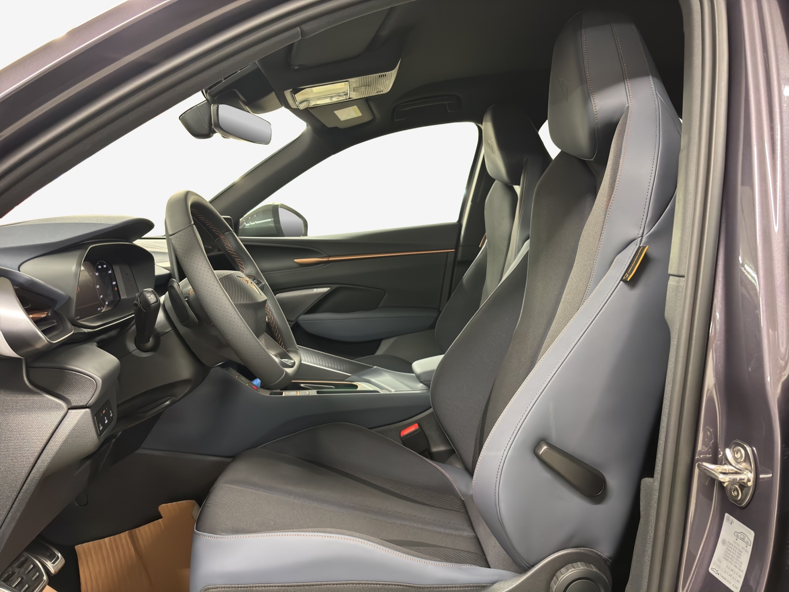 CUPRA Terramar 2.0 TSI DSG 4Drive-image-7