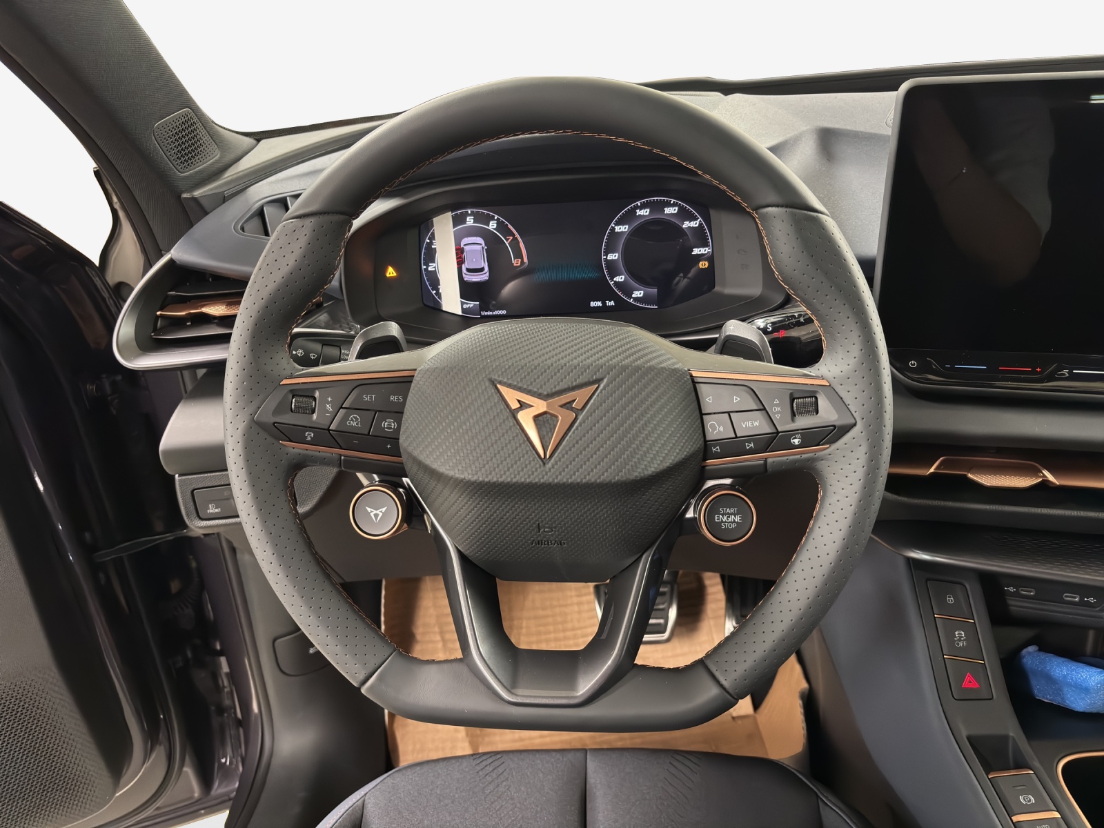 CUPRA Terramar 2.0 TSI DSG 4Drive-image-9