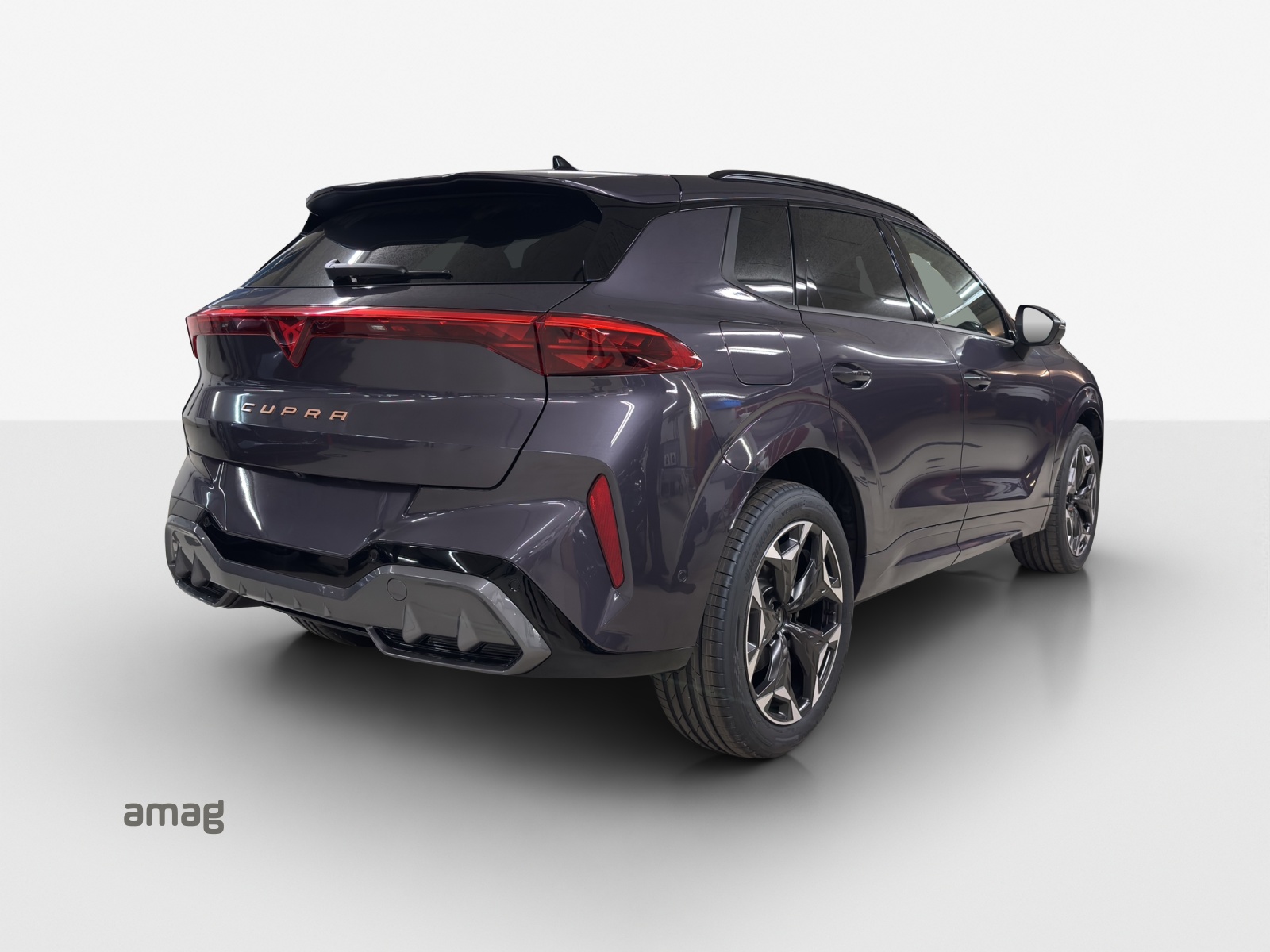 CUPRA Terramar 2.0 TSI DSG 4Drive-image-4