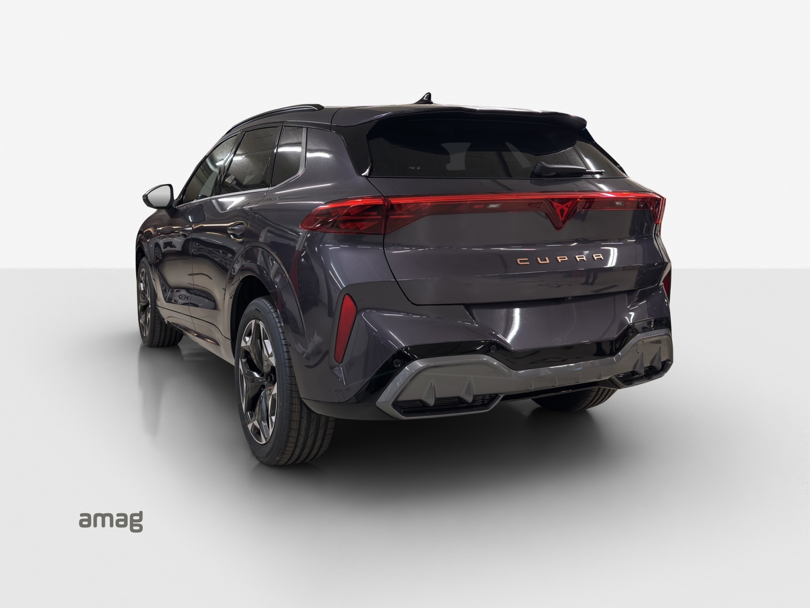 CUPRA Terramar 2.0 TSI DSG 4Drive-image-2