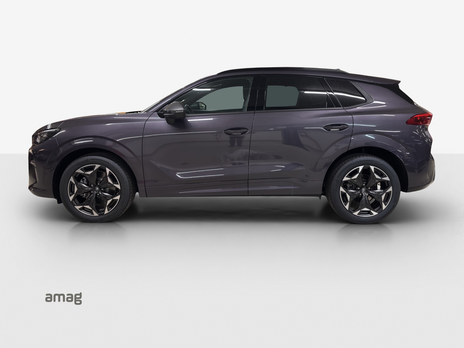 CUPRA Terramar 2.0 TSI DSG 4Drive-image-1