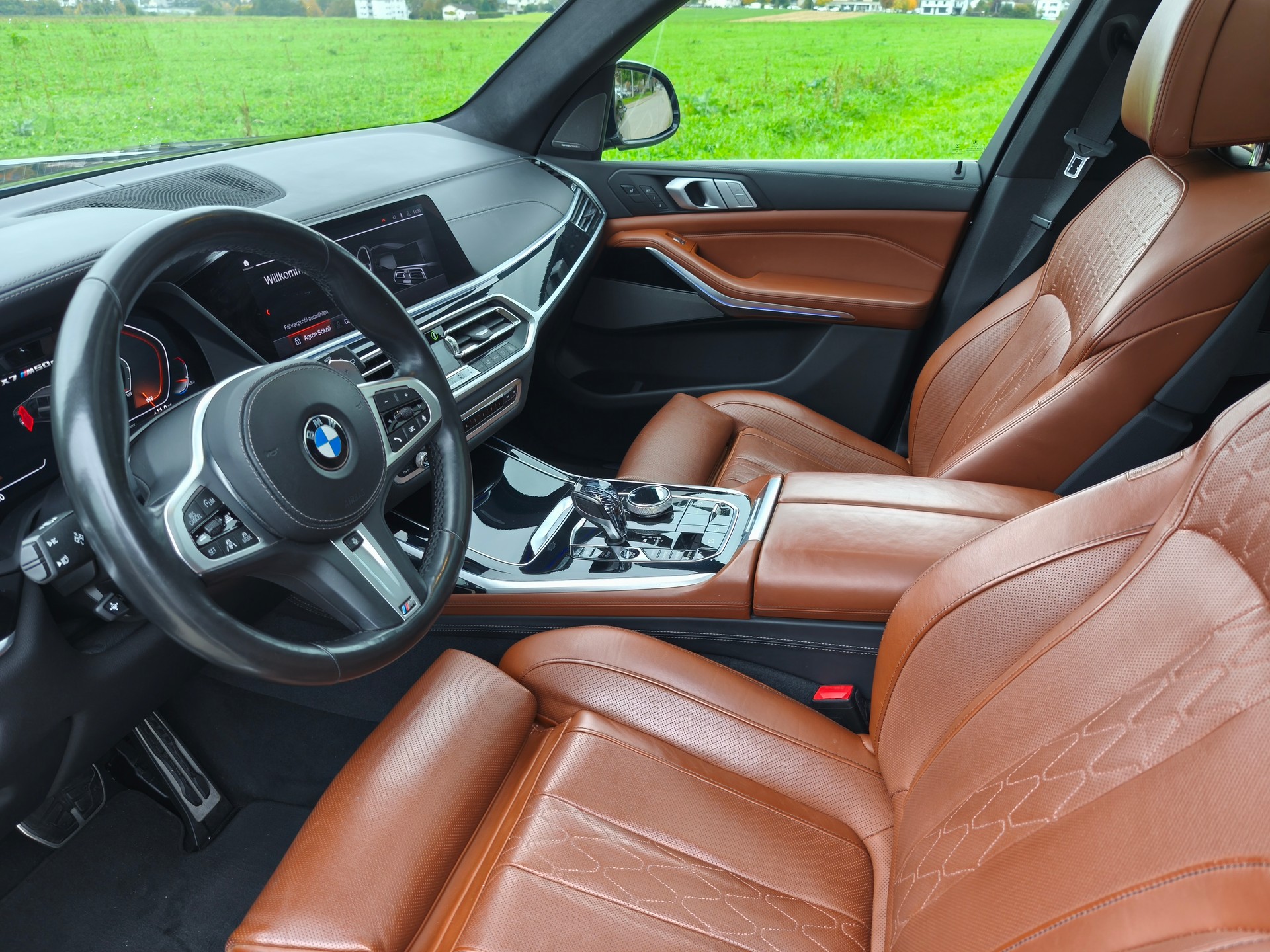 BMW X7 xDrive M50d Steptronic-image-8