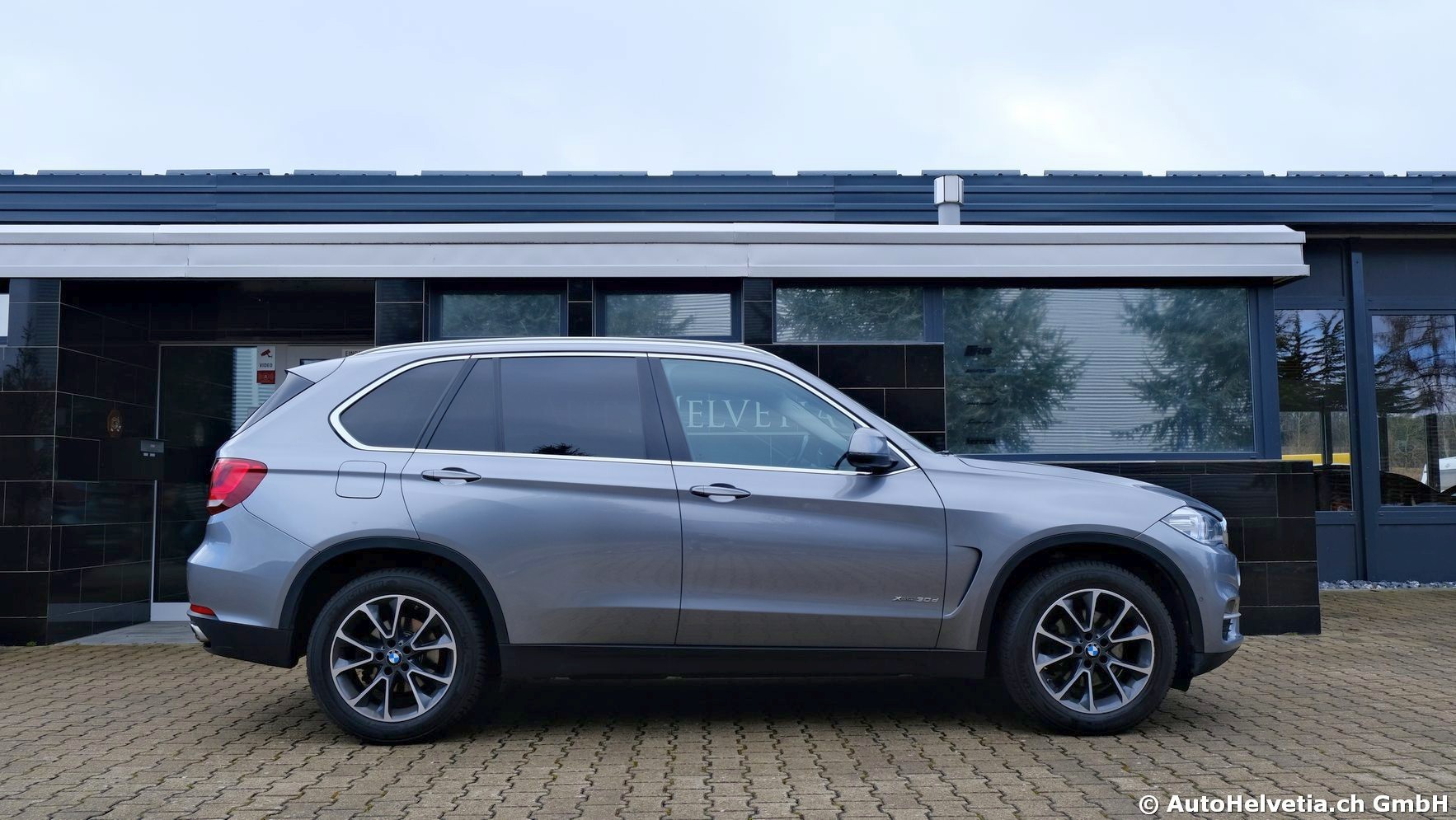 BMW X5 xDrive 30d Steptronic-showroom-element-3