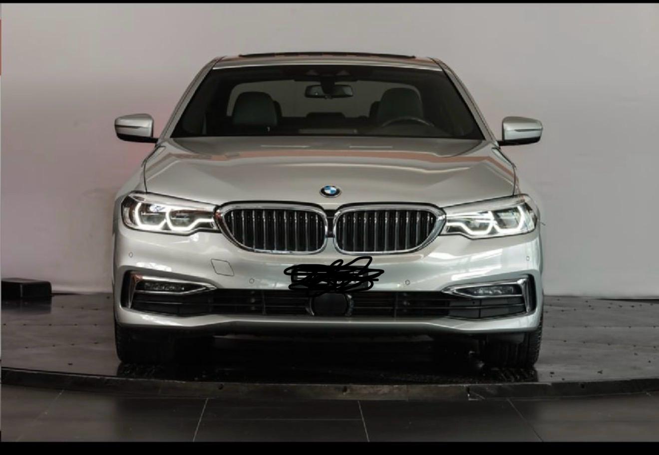 BMW 530e xDrive Steptronic-image-2