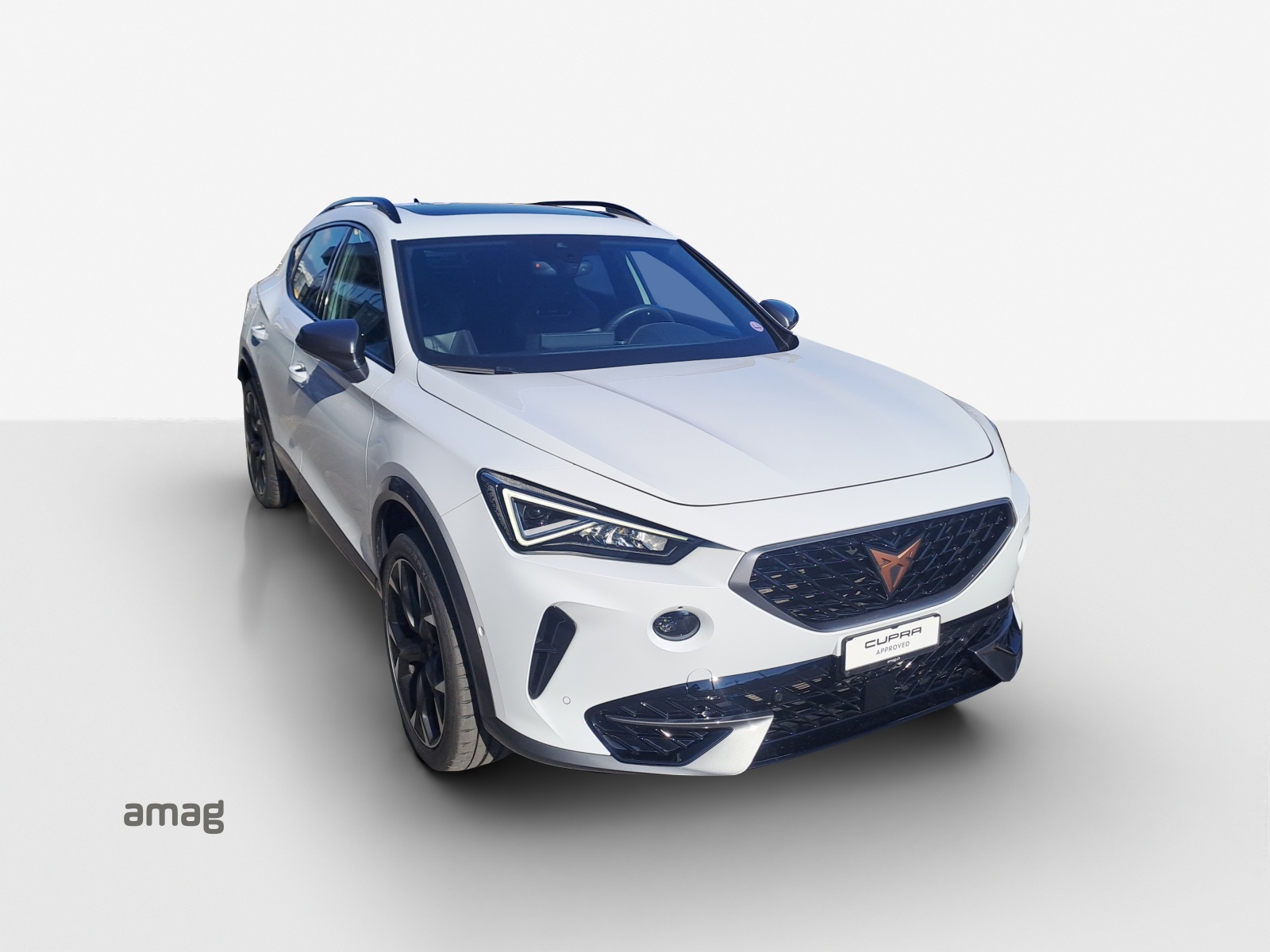 CUPRA Formentor 1.5 TSI DSG-image-15
