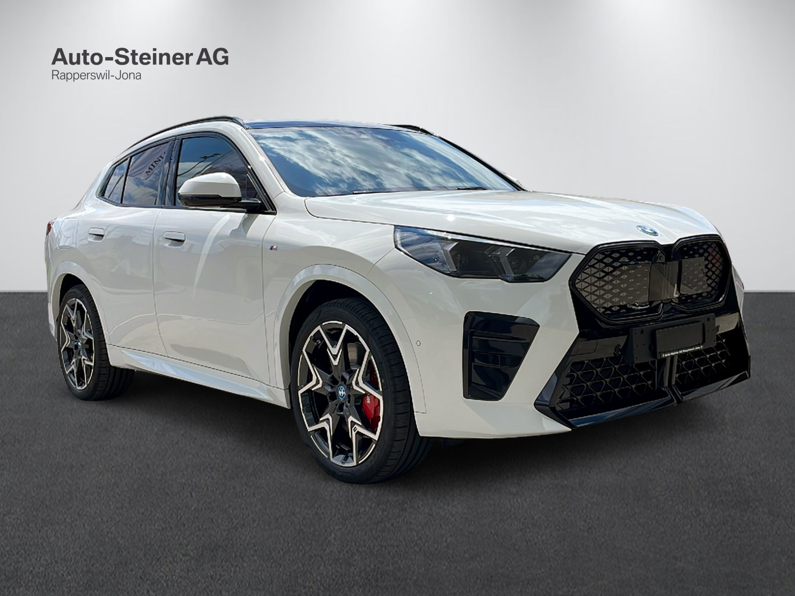 BMW iX2 xDrive 30 M Sport Pro-image-16