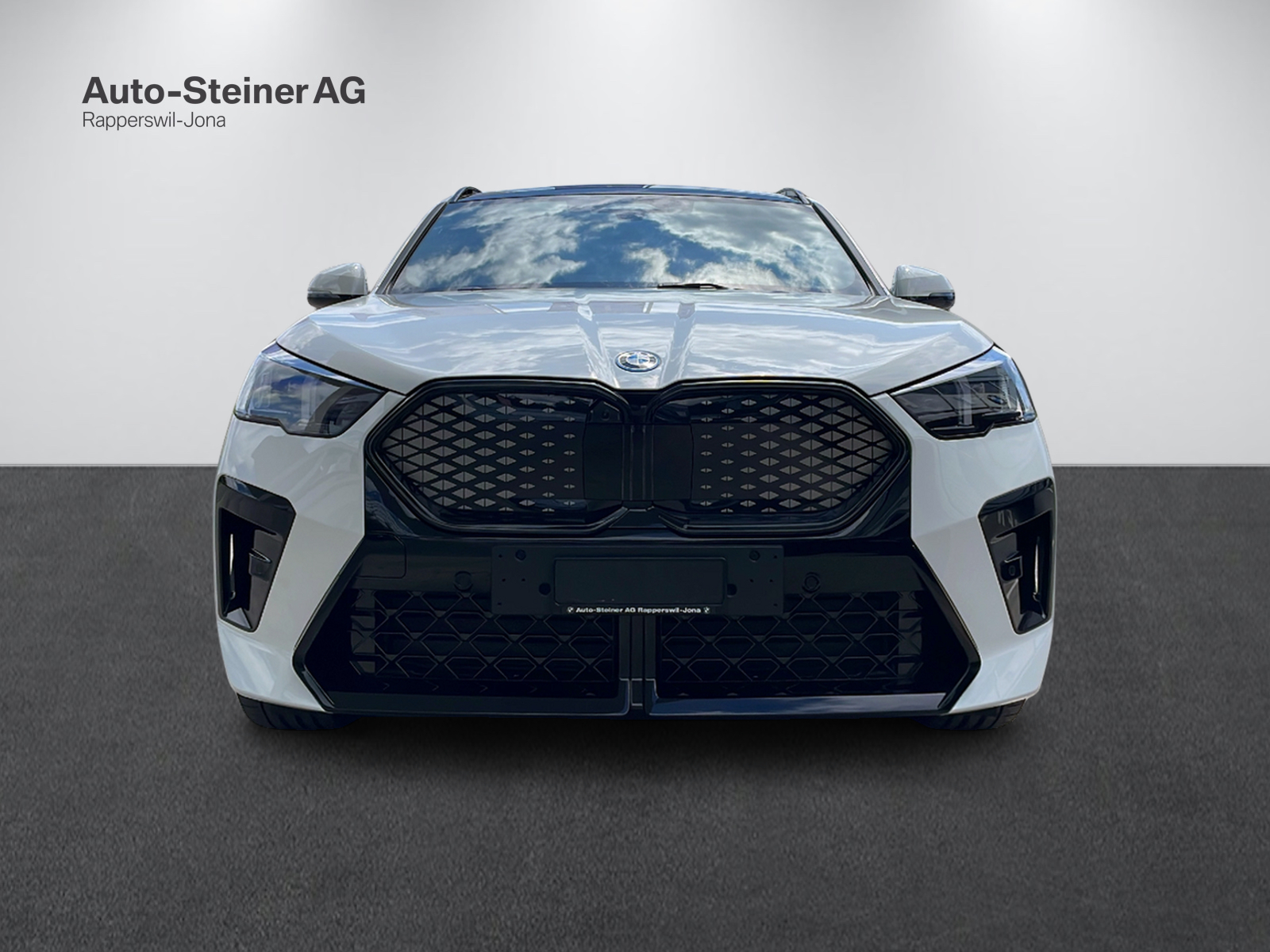 BMW iX2 xDrive 30 M Sport Pro-image-12